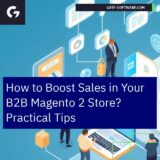 B2B e-commerce growth, Magento 2 platform illustration