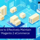 Diagram showing Magento 2 maintenance and growth