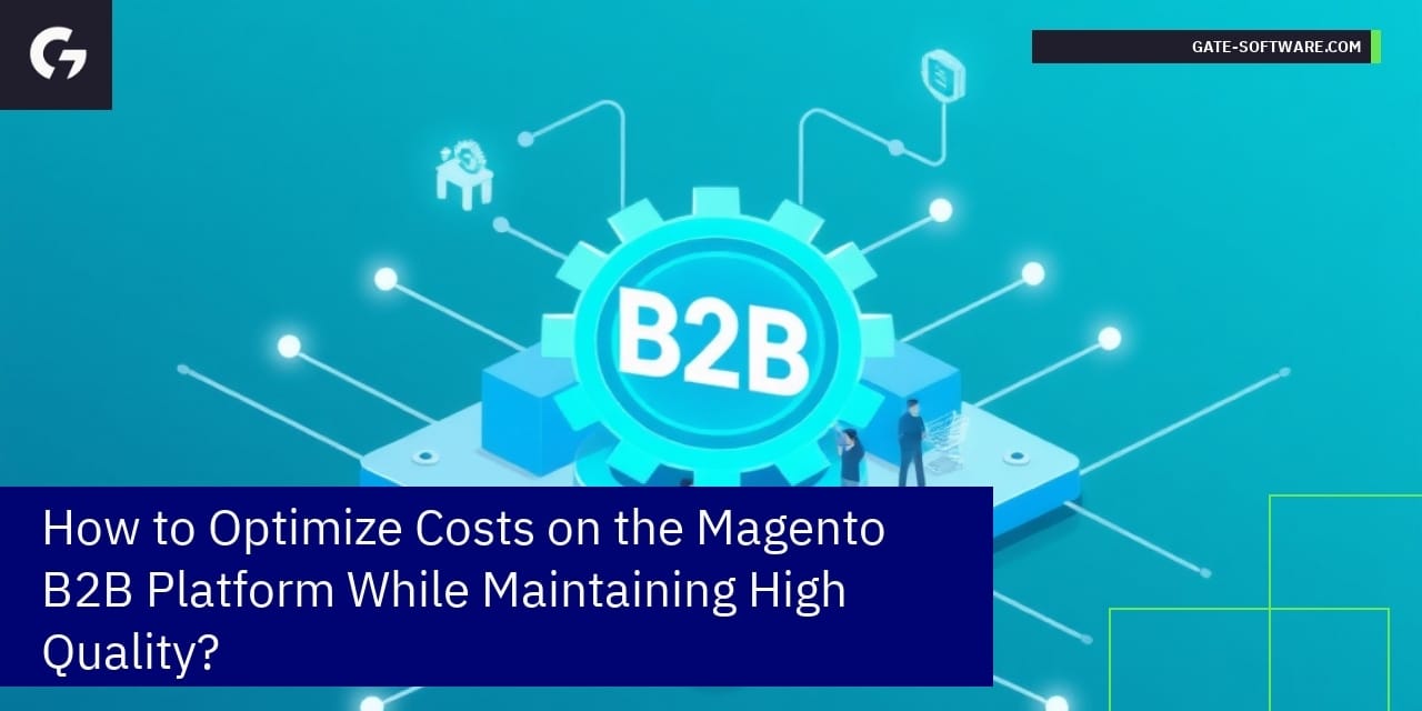 How to Optimize Costs on the Magento B2B Platform While Maintaining High Quality?