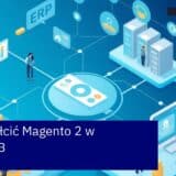 Schemat integracji i funkcji platformy Magento 2 B2B