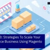 Business growth and Magento 2 platform concepts