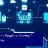 Schemat przedstawiający korzyści Hyva Theme