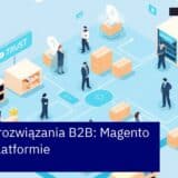 Schemat funkcji platformy Magento 2 B2B