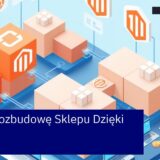 Schemat rozwoju sklepu Magento 2 z modułami i motywami