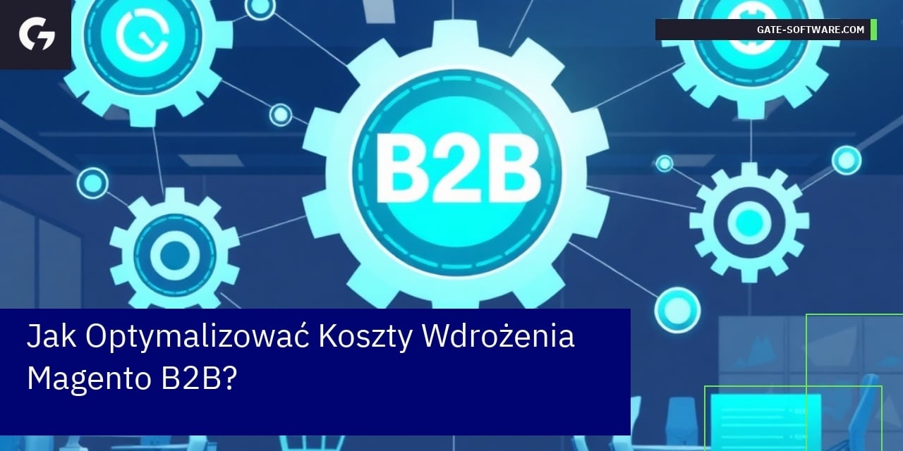 Jak Optymalizować Koszty Wdrożenia Magento B2B?
