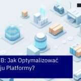 Schemat optymalizacji kosztów i integracji systemów B2B